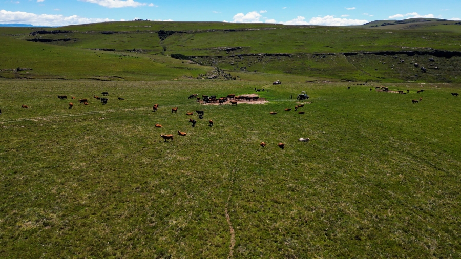 0 Bedroom Property for Sale in Maclear Rural Eastern Cape